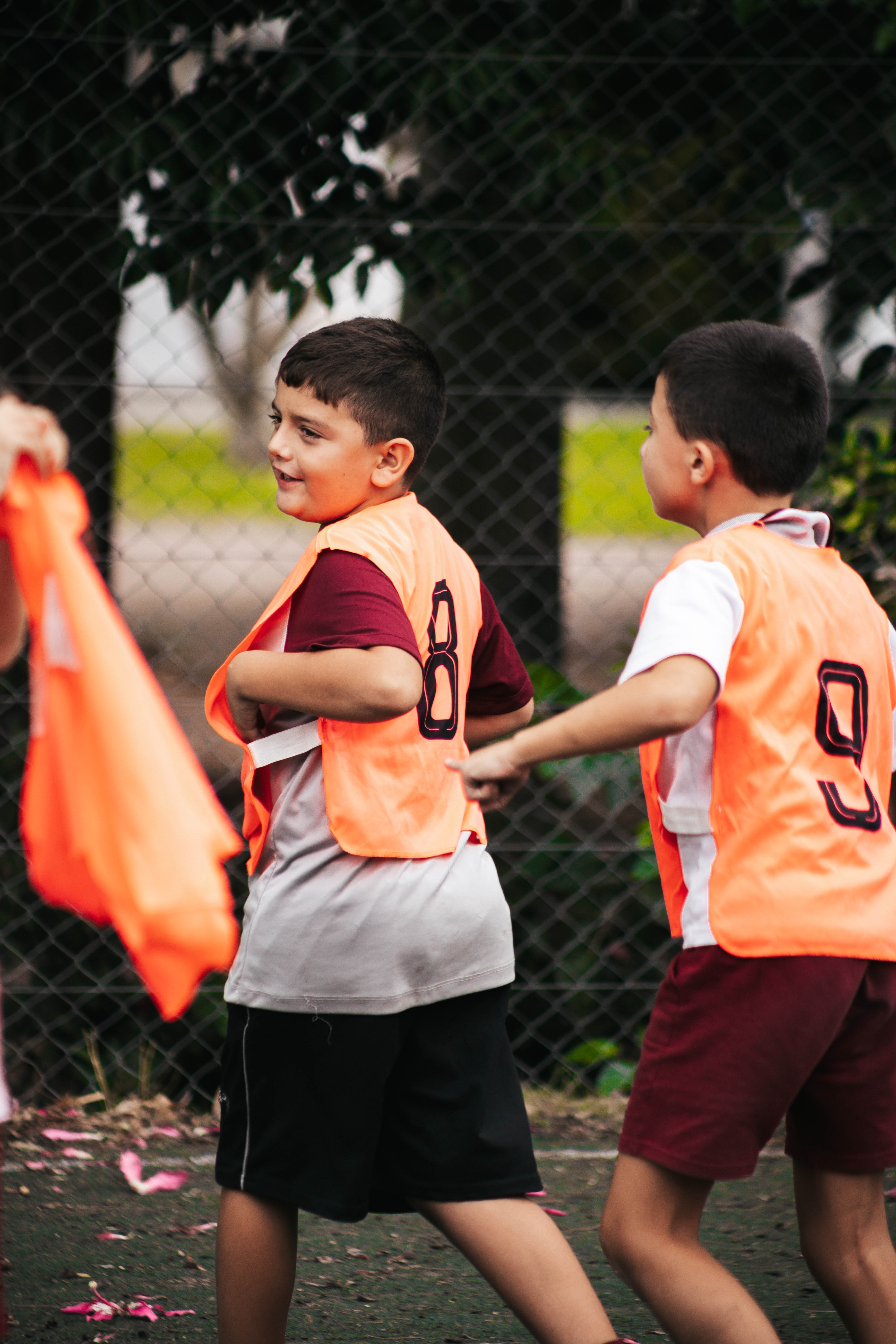 Galería Primaria 12