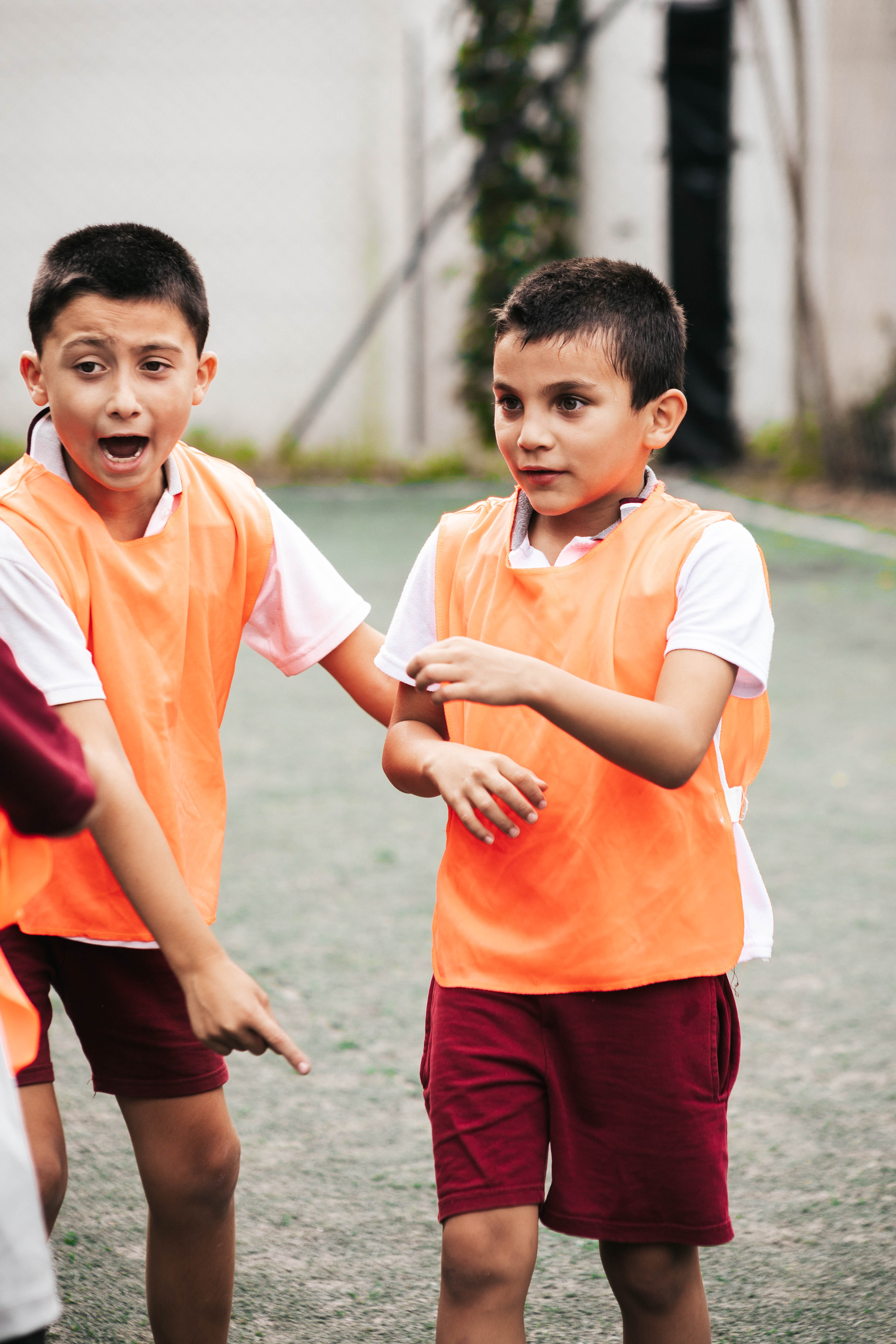 Galería Primaria 13