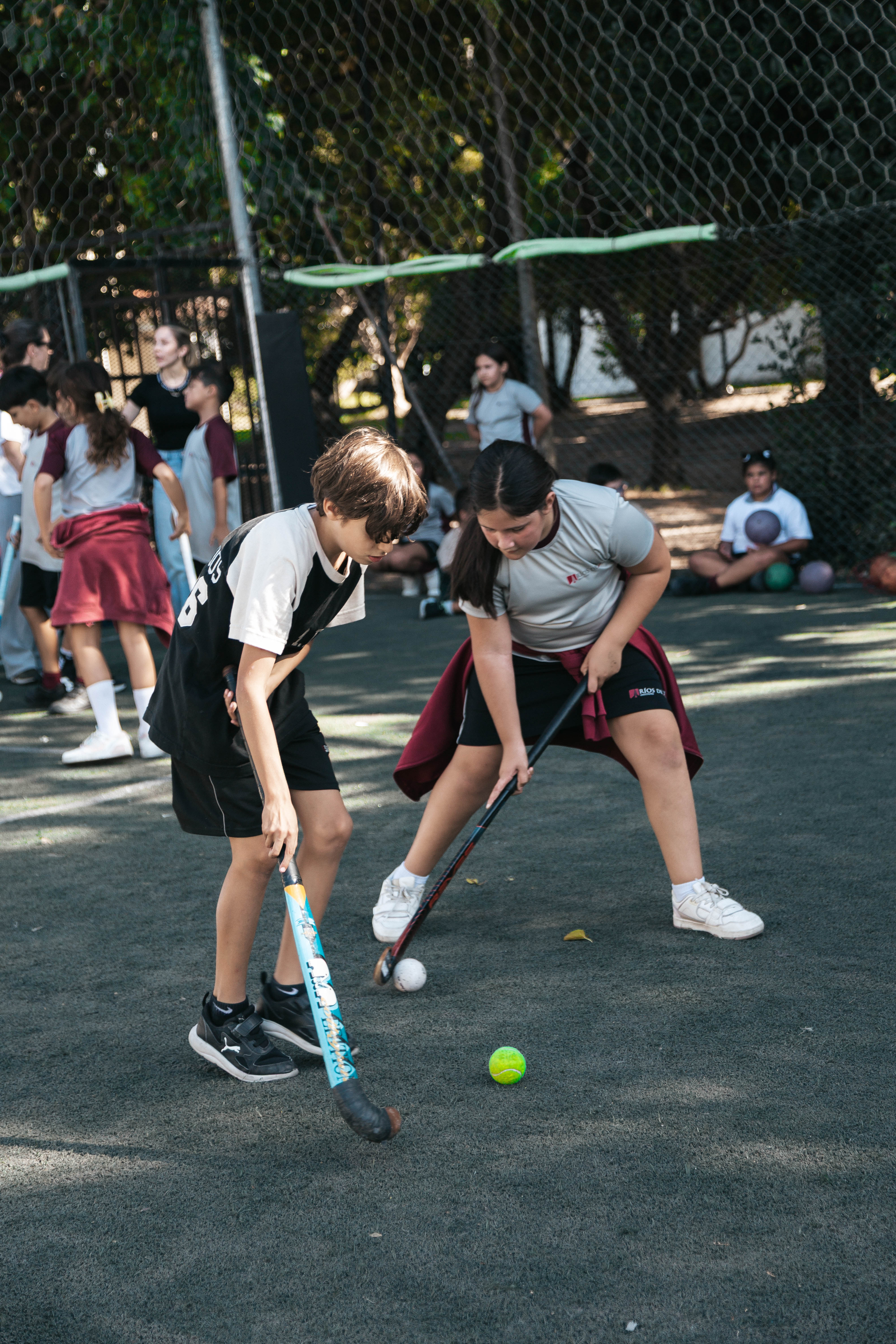 Galería Primaria 19